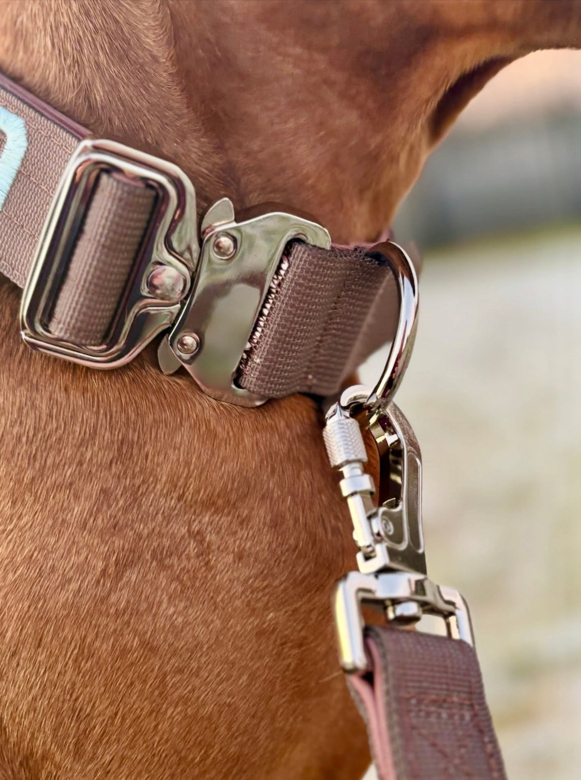 Solid Halsbånd- og linesett - Jordbrun