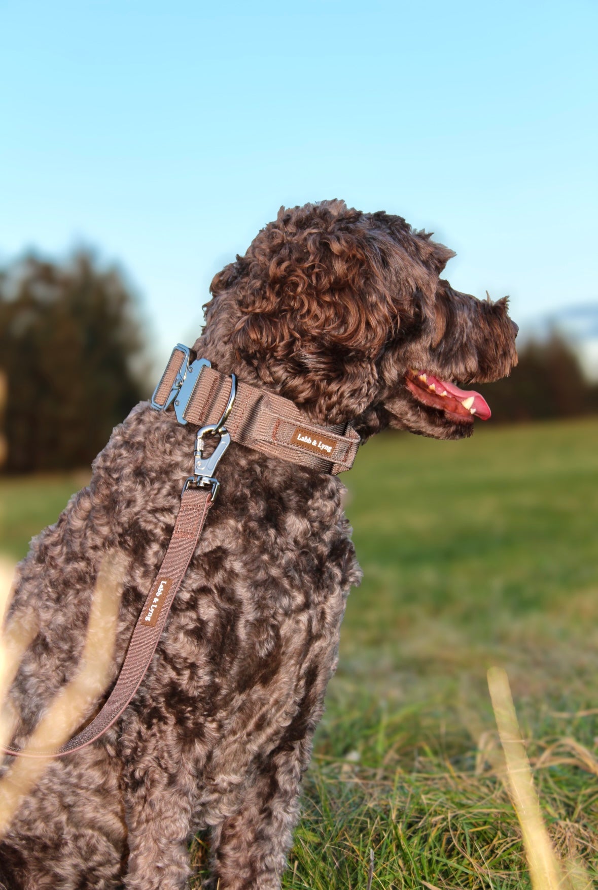 Solid Halsbånd- og linesett - Jordbrun